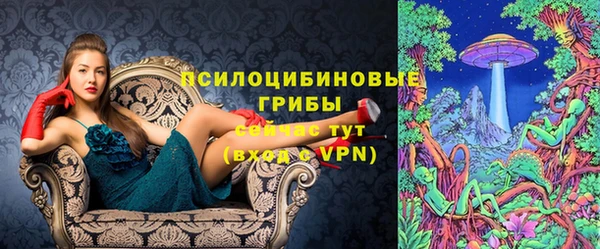 а пвп мука Алзамай