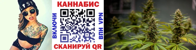 Шишки марихуана сатива Белореченск